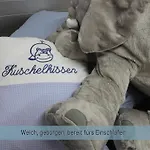 펜션 Daeschinger