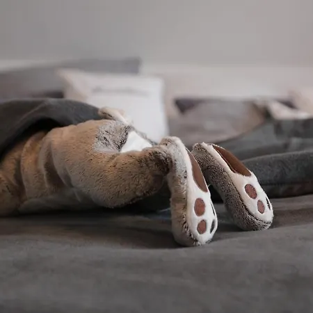 度假居 Daeschinger Mastershausen