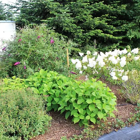 Daeschinger Mastershausen