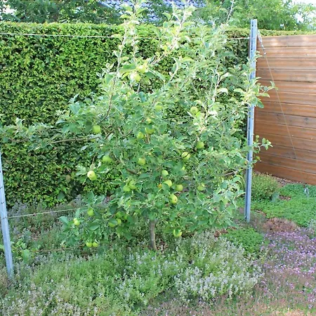 Daeschinger 度假居 *