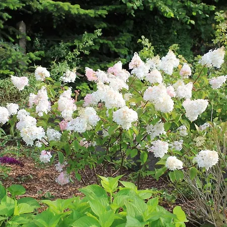 Daeschinger Semesterbostad Mastershausen