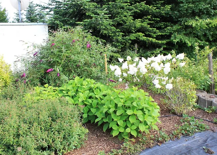 Daeschinger Mastershausen