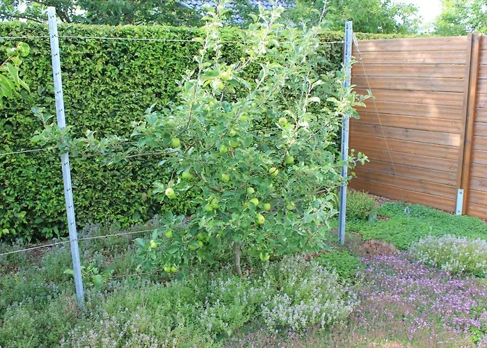 Daeschinger Casa de Férias *