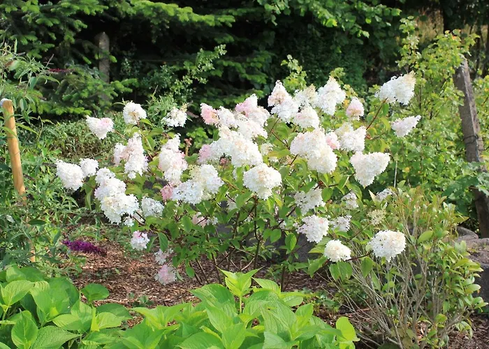 Daeschinger Casa de Férias Mastershausen